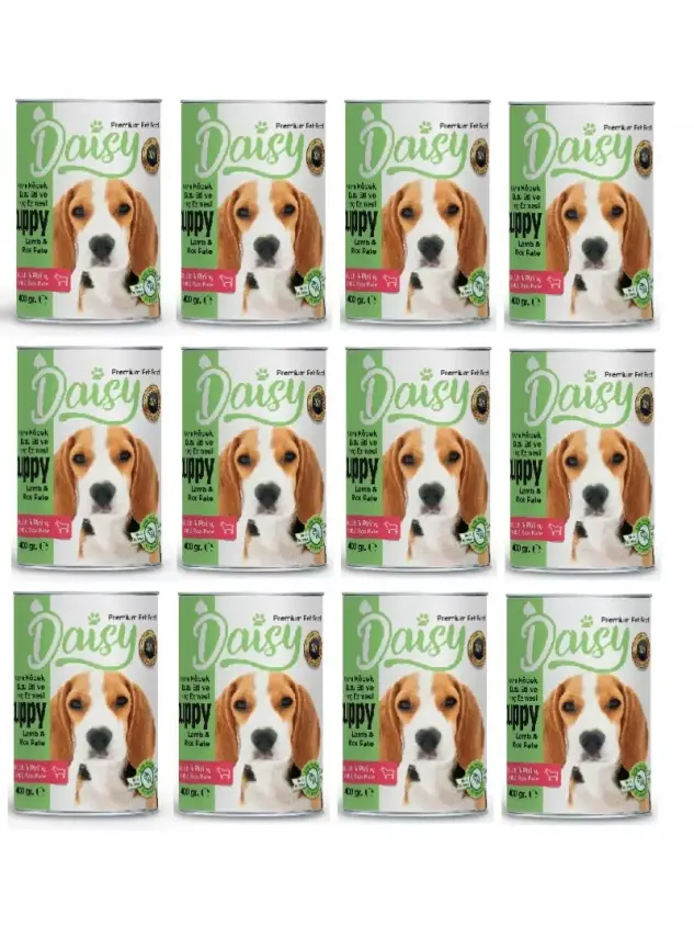 Daisy Pate Kuzu Etli Pirinçli Ezme Yavru Köpek Maması Konservesi 24 Adet 400 gr - 1