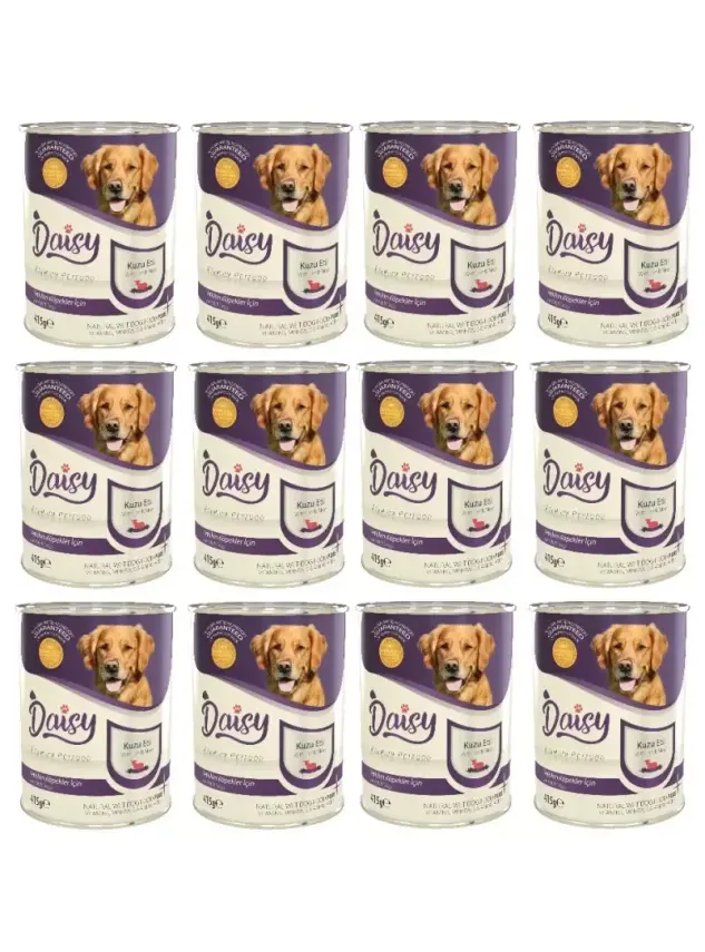 Daisy Premium Pet Kuzu Etli Yetişkin Köpek Maması Konservesi 12 Adet 400 Gr - 1