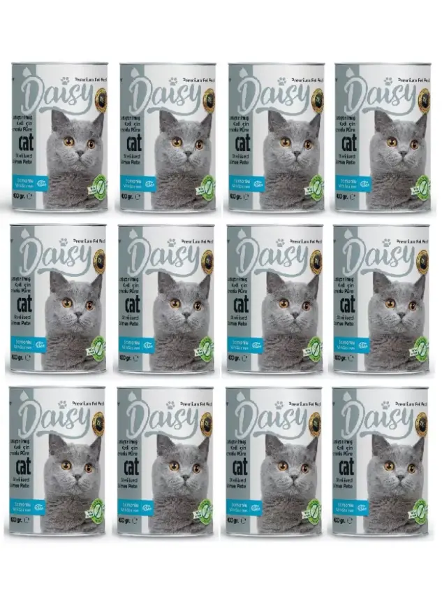 Daisy Somonlu Kısırlaştırılmış Yetişkin Kedi Maması Konservesi 12 Adet 400 gr - 1