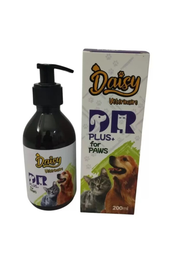 Daisy Veteriner Plus For Paws - Daisy