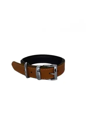 Daisy Yağlı Deri Köpek Tasması XL-4cm Taba - Daisy