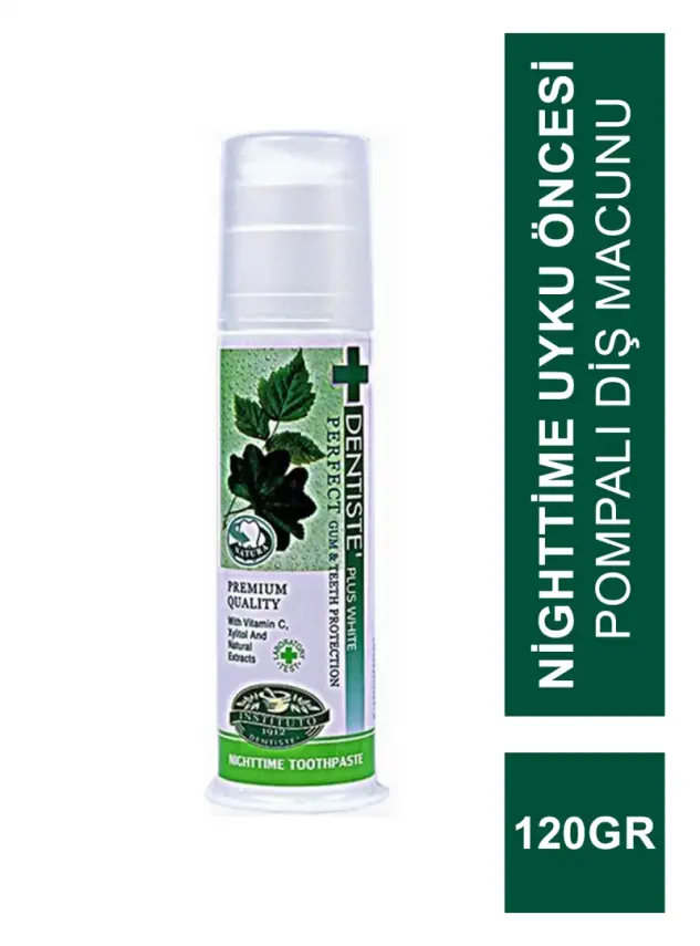 Dentiste Nighttime Uyku Öncesi Pompalı Diş Macunu 120 gr - 1