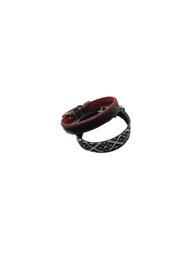 Desenli Köpek Boyun Tasması 2,5 Cm - 1