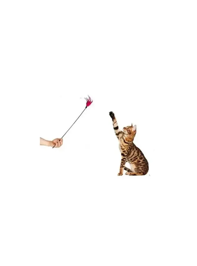 Dg-055 Kedi Oltası - 1