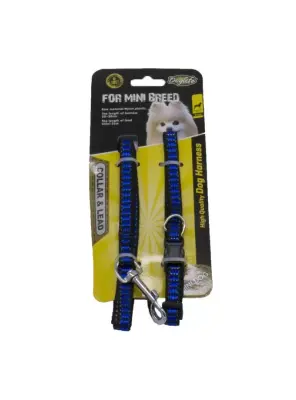 Dog Life 20-30 Cm Boyun Tasması Ve Gezdirme Tasma - Dog Life