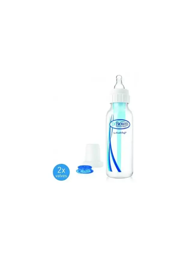 Dr. Browns Hava Kanallı Medikal Biberon 250 ml - 2