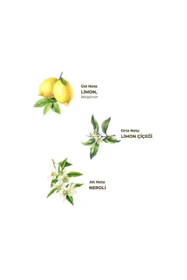 Eyüp Sabri Tuncer Klasik Limon Kolonyası 50 ml - Pet Şişe - 1