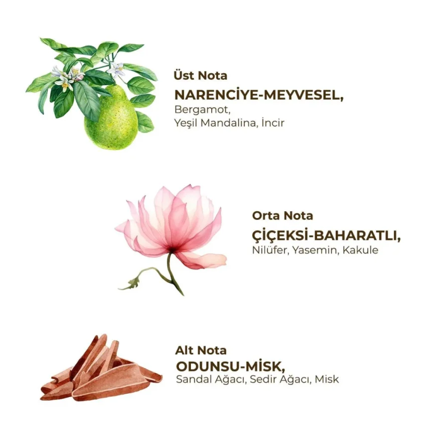 Eyüp Sabri Tuncer Roll-On Deodorant Active - Kadınlar İçin 75 ml - 2