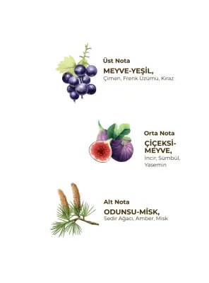 Eyüp Sabri Tuncer Wild Fig 150 ml Eau De Cologne - Cam Şişe - 3