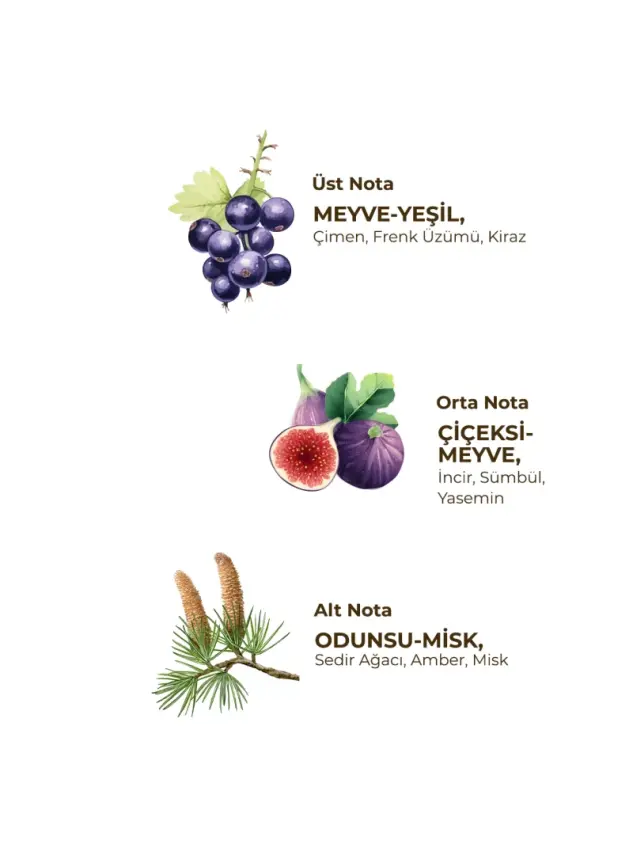 Eyüp Sabri Tuncer Wild Fig 150 ml Eau De Cologne - Cam Şişe - 3