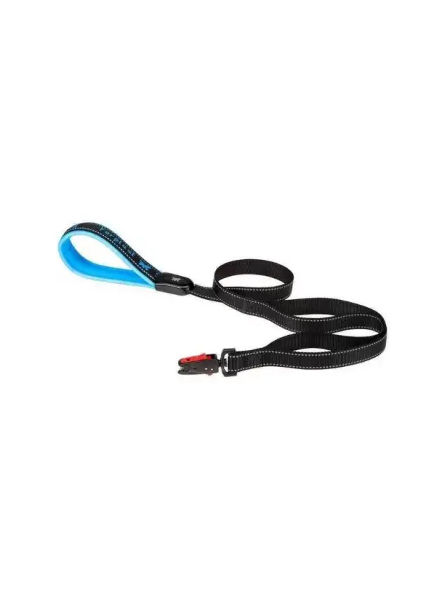 Ferplast Sport Köpek Gezdirme Kayışı 25Mm/120Cm -Mavi- - 1