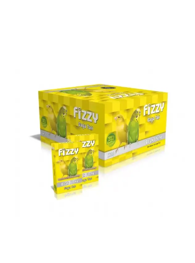 Fizzy Gaga Taşi - 1