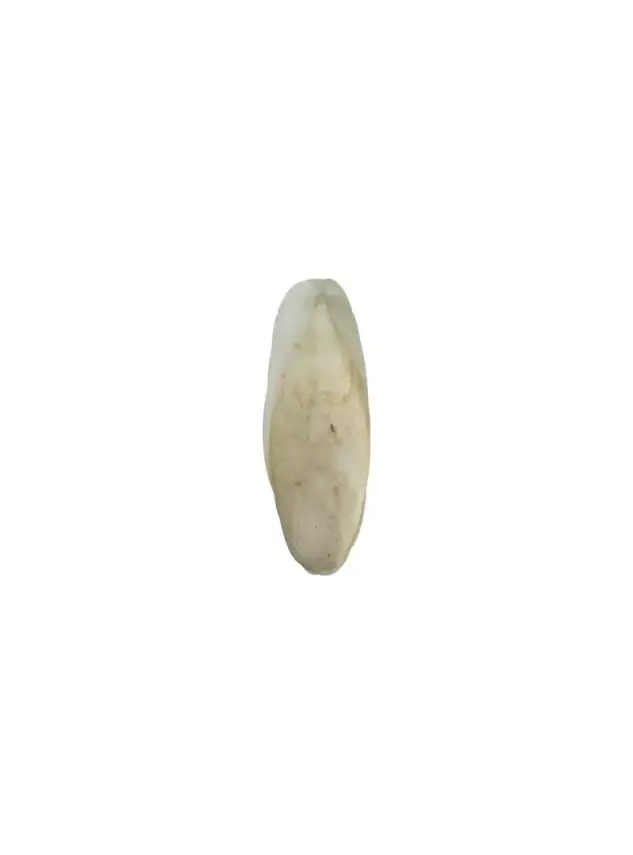Fizzy Kalamar Kemik 1Kg - 1
