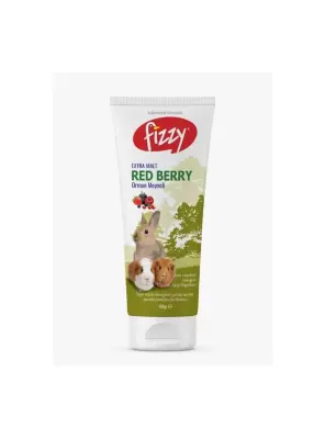 Fizzy Kemirgen Red Berry Paste 100gr - Fizzy