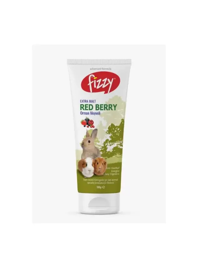 Fizzy Kemirgen Red Berry Paste 100gr - 1