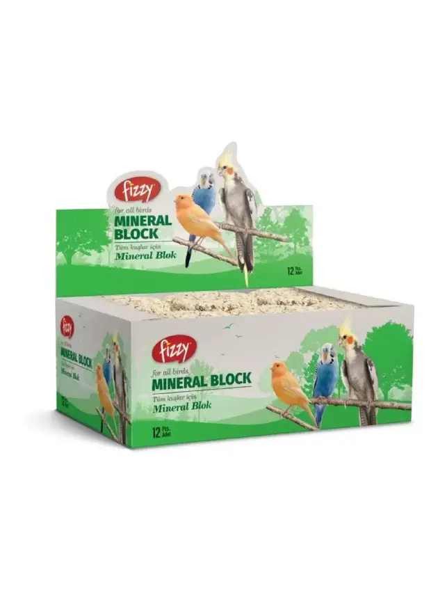 Fizzy Mineral Blok - 1