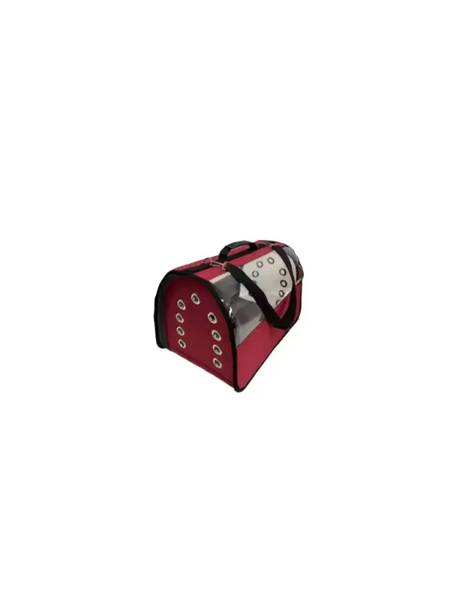 Flybag Şeffaf Çanta Büyük Boy - 1