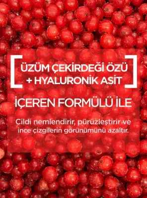 Garnier Nem Bombası Dolgunlaştırıcı Kağıt Yüz Maskesi 28 gr - 2