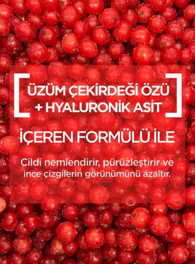Garnier Nem Bombası Dolgunlaştırıcı Kağıt Yüz Maskesi 28 gr - 2