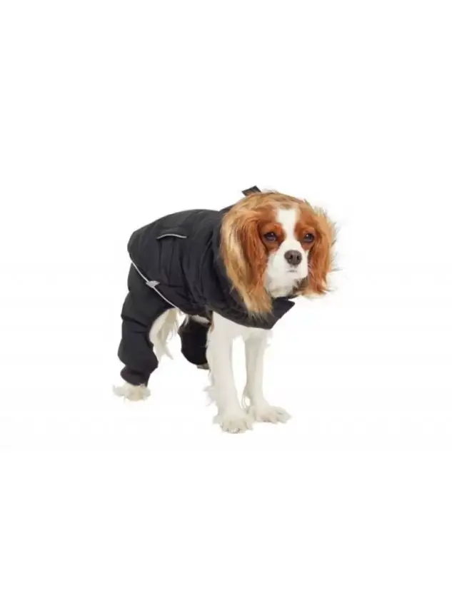 Gf Pet 4 Ayaklı İçi Polarlı Mont Siyah Xl - 1