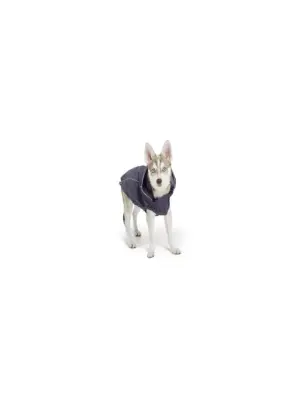 Gf Pet Köpek Kedi Kıyafet Reversible Raincoa Small - Gf Pet