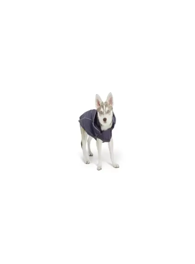 Gf Pet Köpek Kedi Kıyafet Reversible Raincoa Small - 1