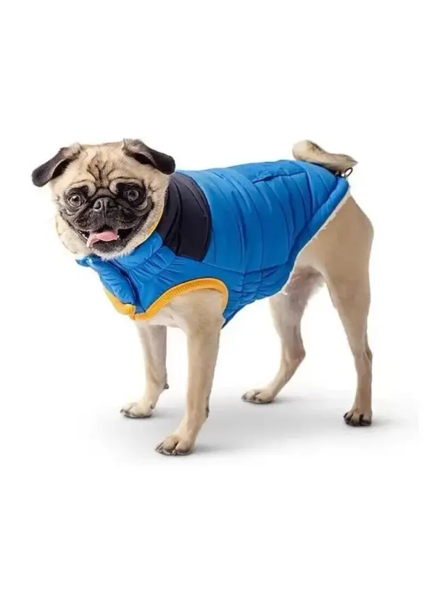 Gf Pet Köpek Mavi Çift Taraflı Mont 4Xlarge - 1