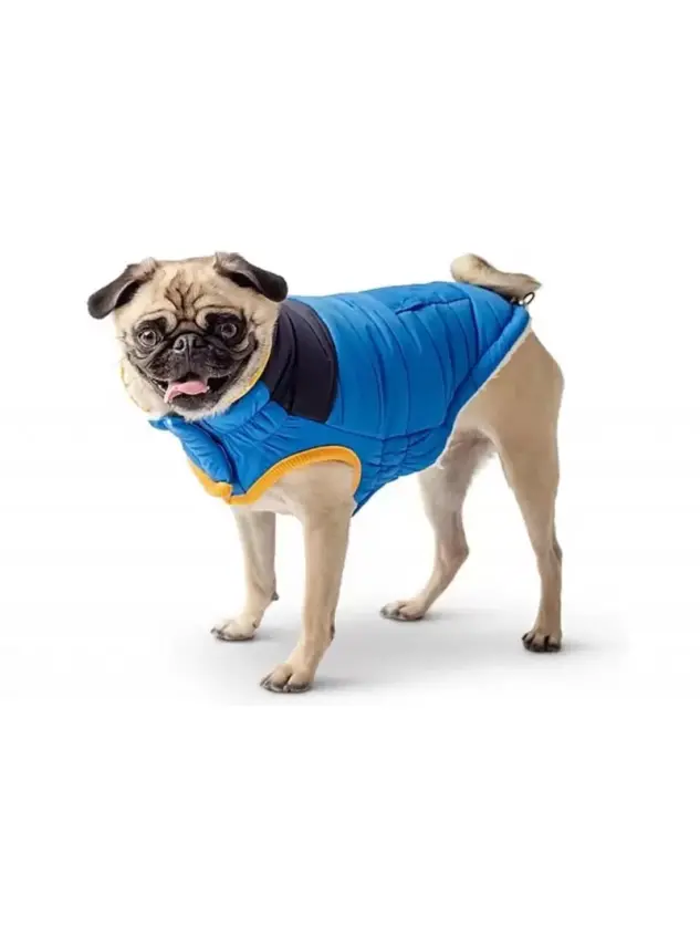 Gf Pet Köpek Mavi Çift Taraflı Mont X-Large - 1