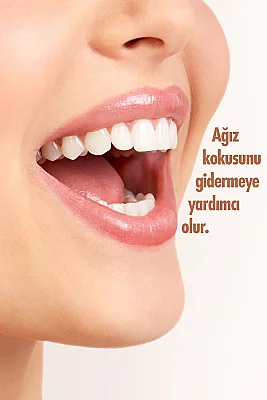 Glimo Dil Temizleyici - 6