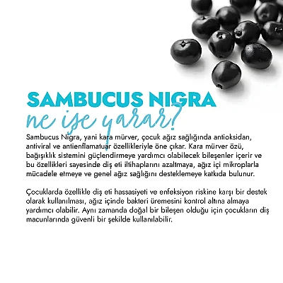 Glimo Pi First Teeth Probiyotikli Doğal Çocuk Diş Macunu 50ml - 6
