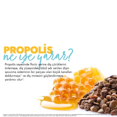 Glimo Pi Probiyotikli Doğal Diş Macunu 75ml - 5