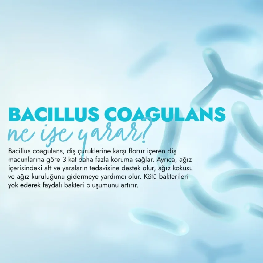 Glimo Pi Probiyotikli Doğal Diş Macunu 75ml - 8