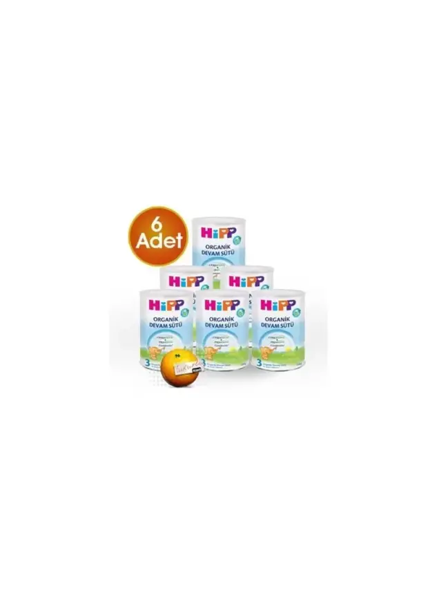 HiPP 3 Organik Combiotik Devam Sütü 350 gr 6 Adet - 1