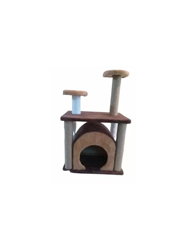 İstanbul Model Ev Kedi Tırmalama - 1