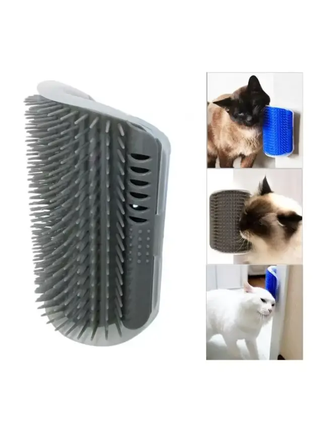 Kapi Kenarina Takilan Kedi Kaşima - 1