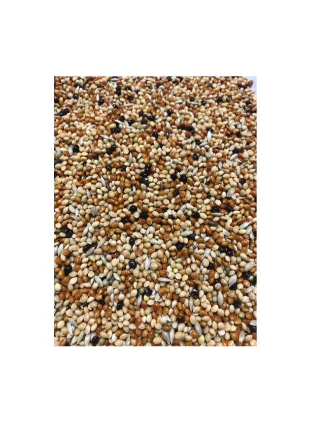 Karışık Muhabbet Kuşu Yemi Açık 1000 Gr - Daisy