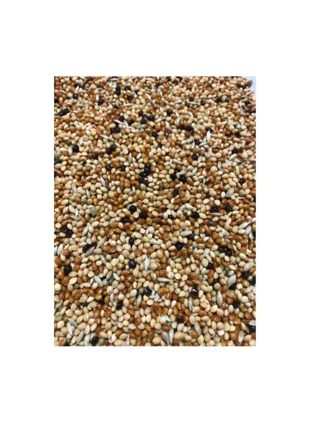 Karışık Muhabbet Kuşu Yemi Açık 1000 Gr - 1