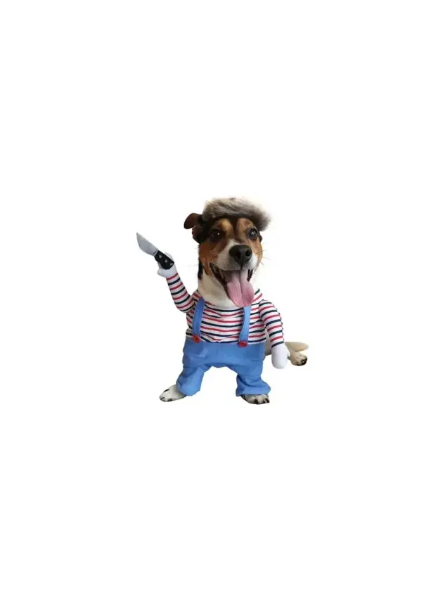 Kedi Köpek Bıçaklı Kostüm Kıyafet - 1