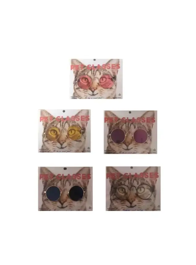 Kedi Köpek Gözlük - 1