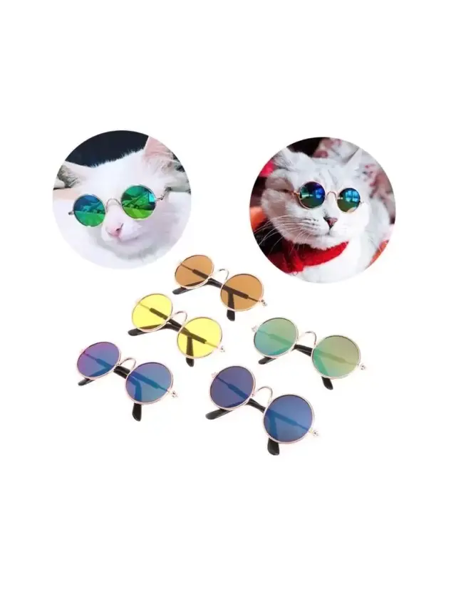 Kedi Köpek Gözlük - 1