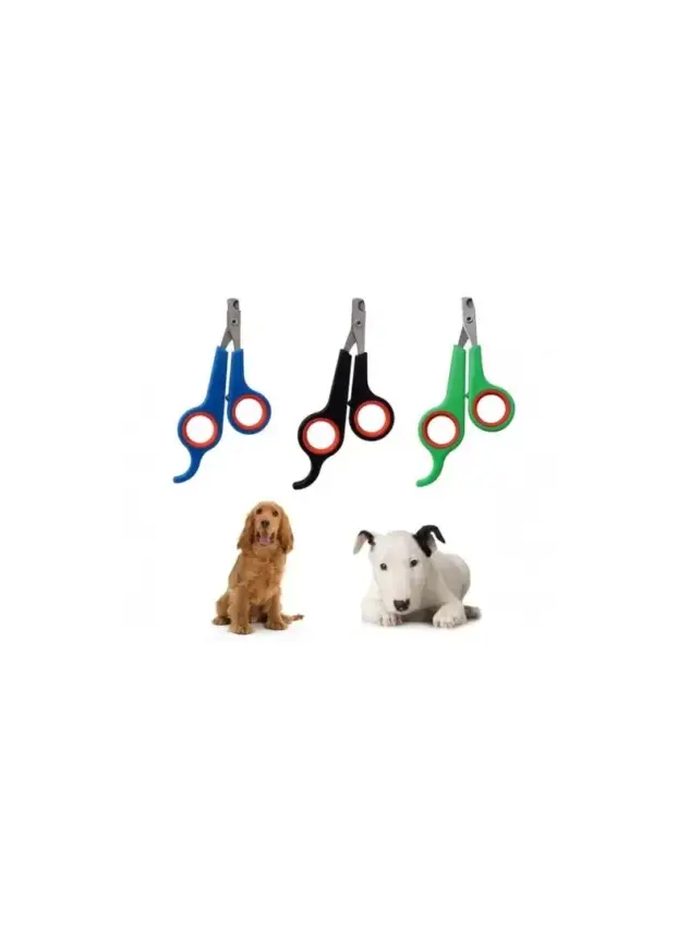 Kedi Köpek Tırnak Makası Renkli - 1