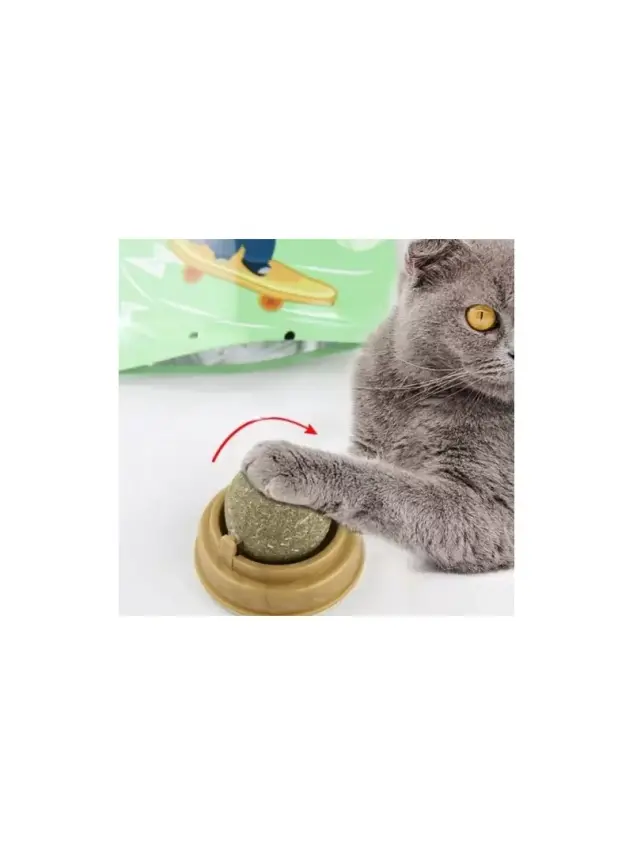 Kedi Nanesi Cat Mint Oyun Topu - 1
