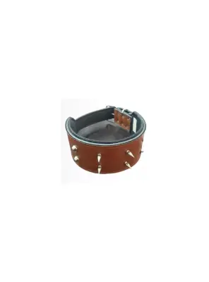 Köpek Çivili Boyun Tasması 8 Cm & Gezdirme - Pet Pretty
