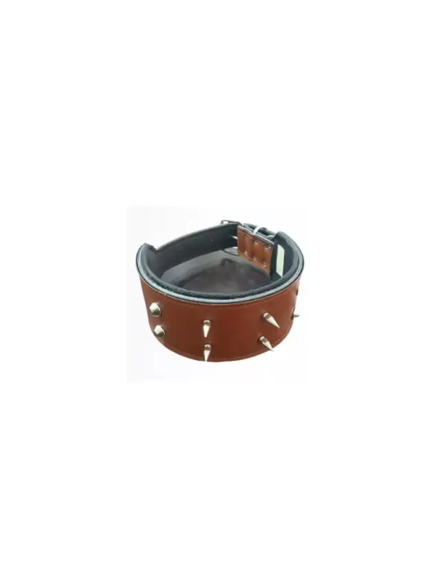 Köpek Çivili Boyun Tasması 8 Cm & Gezdirme - 1