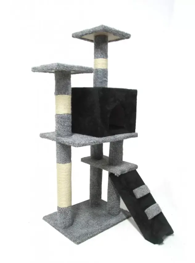 Model Miss Cat Tırmalama - 1