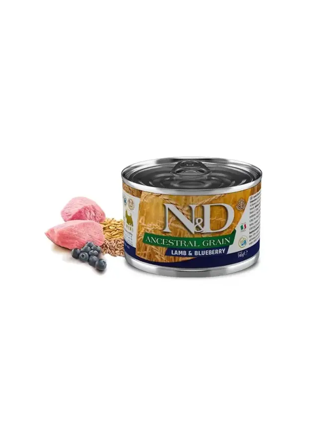 N&D Ancestral Grain Köpek Konserve Kuzuz&Yaban Mersini Mini 140 Gr - 1