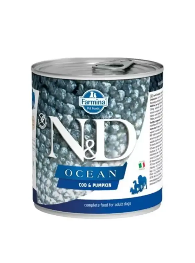 N&D Ocean Codfısh & Pumpkın - Morina Balığı & Balkabağı Köpek Konserve 285 Gr - 1