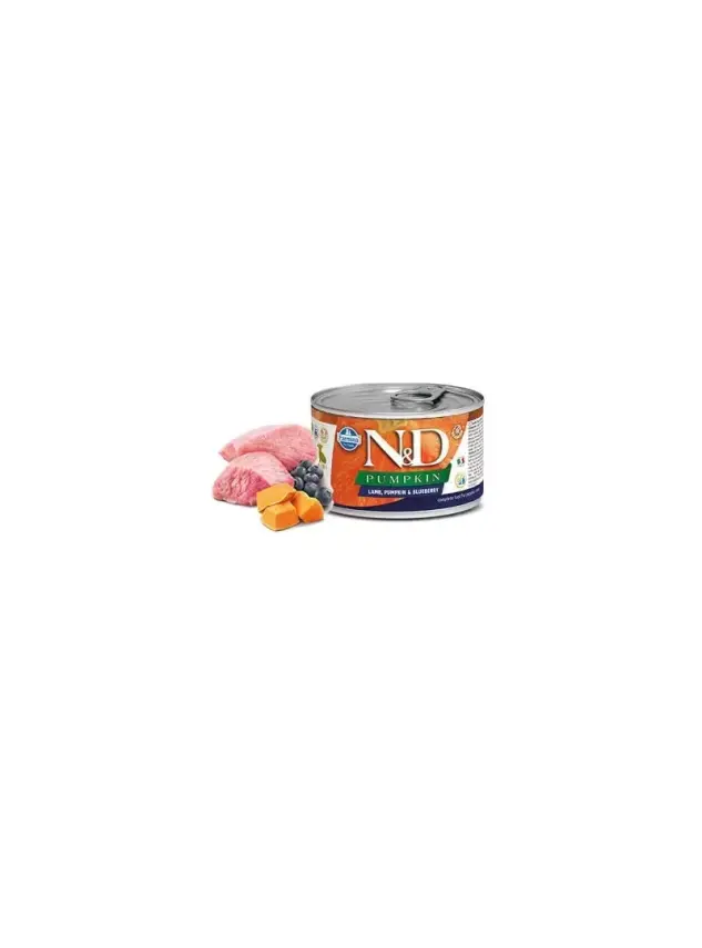 N&D Pumpkın Lamb & Blueberry Puppy Köpek Konserve 140 Gr - 1