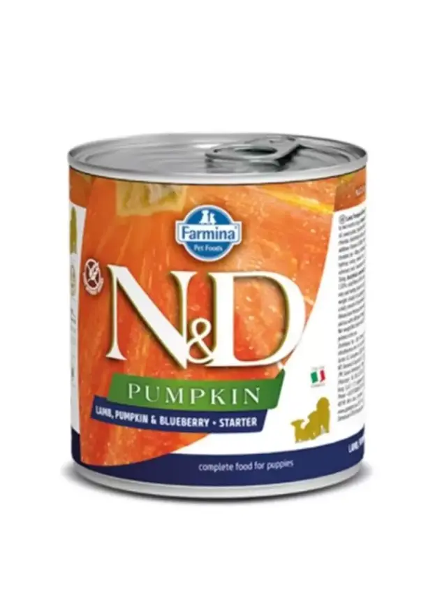 N&D Pumpkın Lamb & Blueberry Starter Köpek Konserve 285 Gr - 1