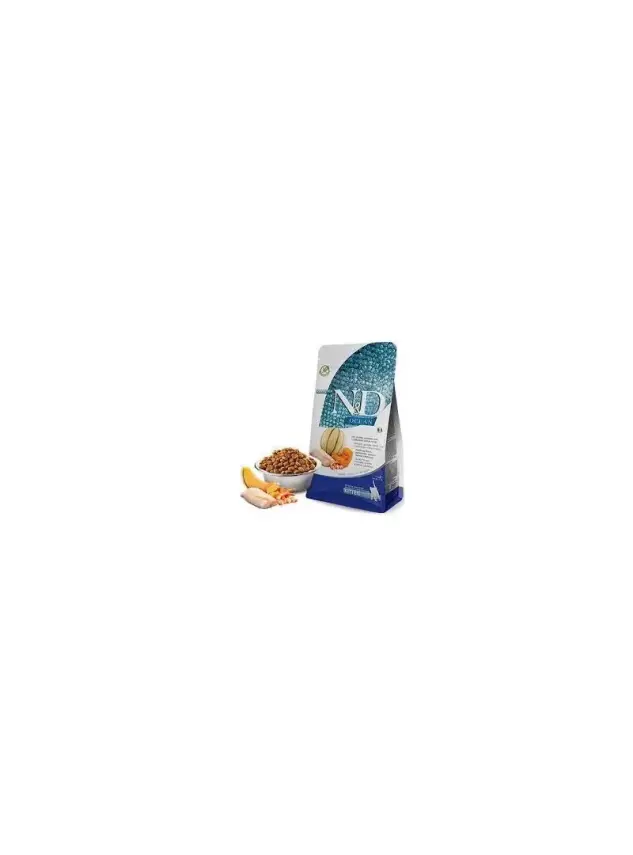 N&D Ocean Morina, Balkabağı Karides&Kavun Kıtten 5 Kg - 1